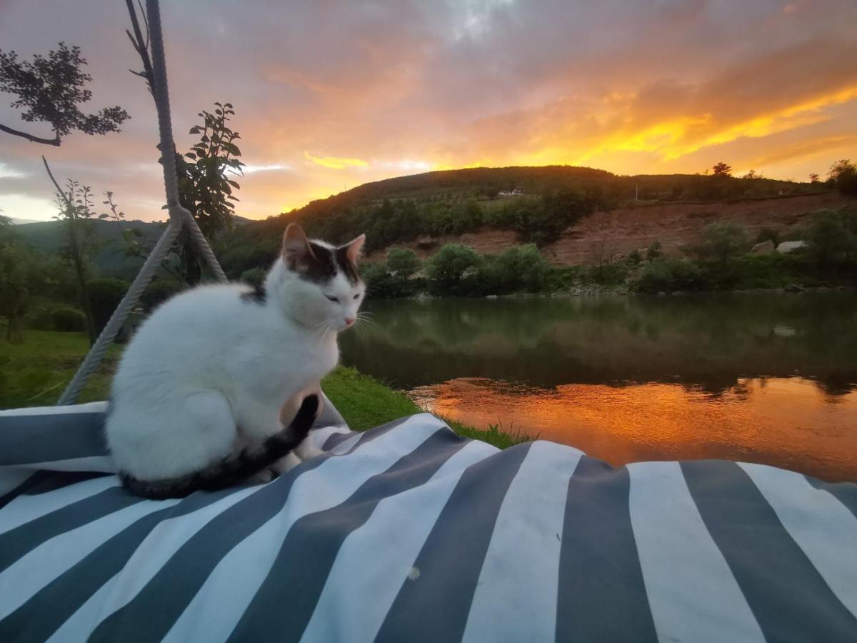Vikendica Pored Drine Foca Handici Luaran gambar