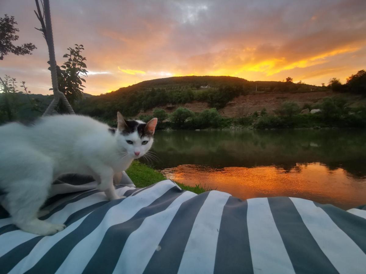 Vikendica Pored Drine Foca Handici Luaran gambar